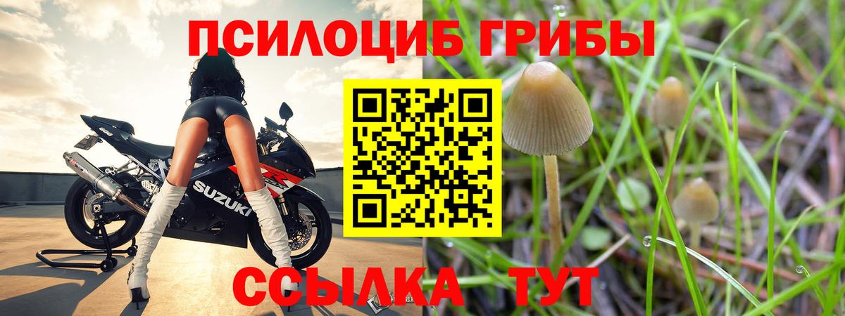Галлюциногенные грибы прущие грибы Дедовск